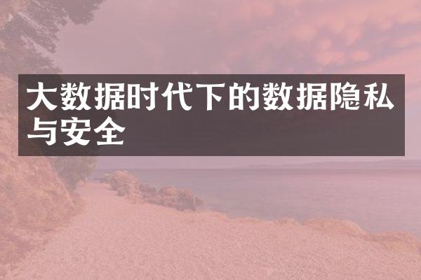 大数据时代下的数据隐私与安全