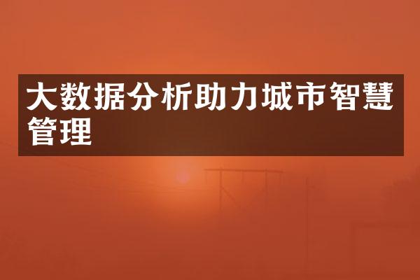 大数据分析助力城市智慧管理