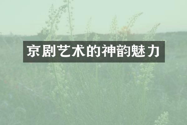 京剧艺术的神韵魅力