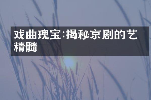 戏曲瑰宝:揭秘京剧的艺术精髓