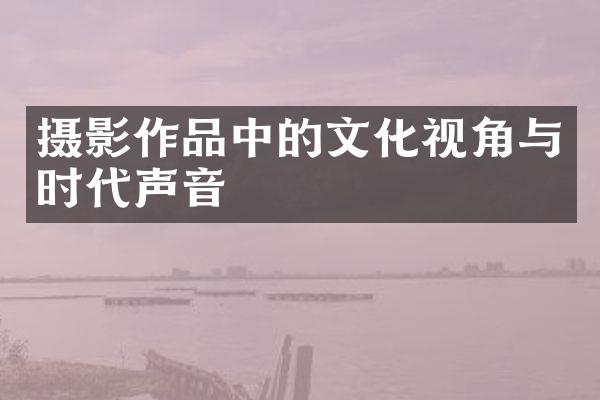 摄影作品中的文化视角与时代声音