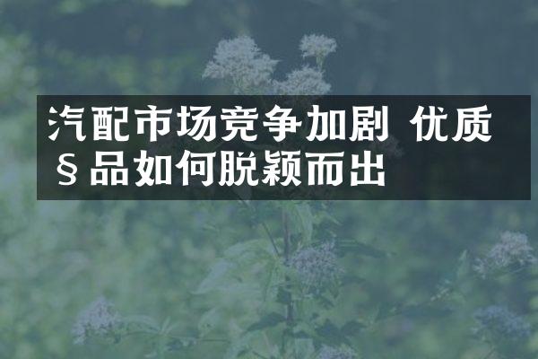 汽配市场竞争加剧 优质产品如何脱颖而出
