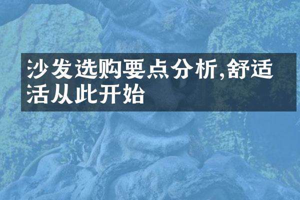 沙发选购要点分析,舒适生活从此开始