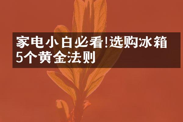 家电小白必看!选购冰箱的5个黄金法则