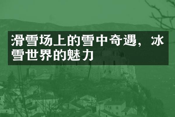 滑雪场上的雪中奇遇，冰雪世界的魅力