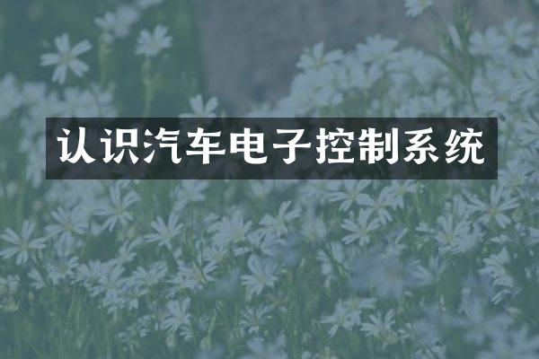 认识汽车电子控制系统