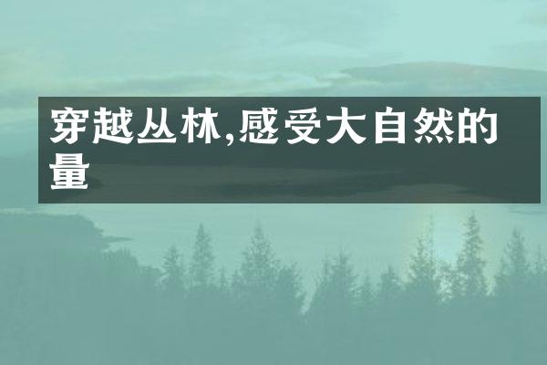 穿越丛林,感受大自然的力量