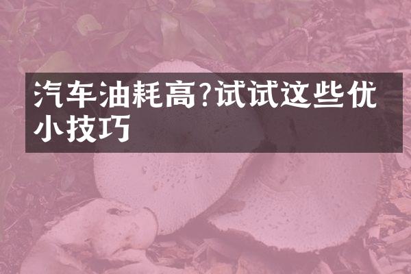 汽车油耗高?试试这些优化小技巧