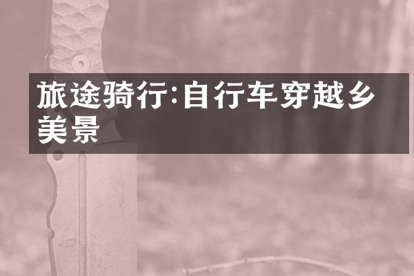 旅途骑行:自行车穿越乡村美景