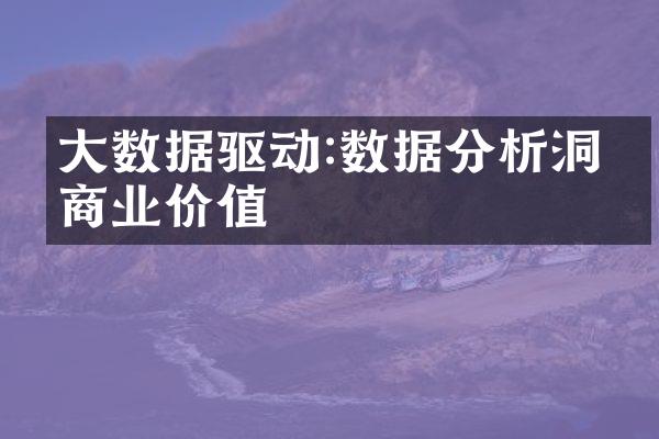 大数据驱动:数据分析洞察商业价值