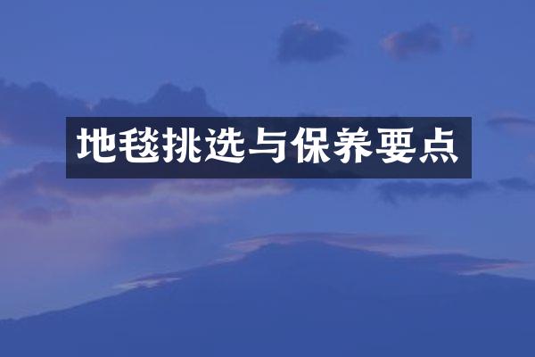 地毯挑选与保养要点