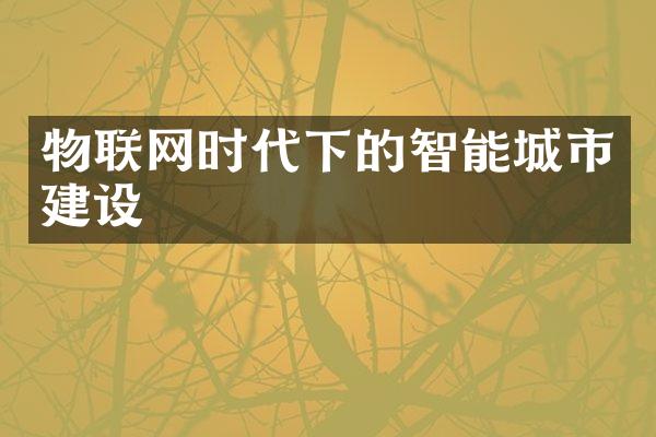 物联网时代下的智能城市建设