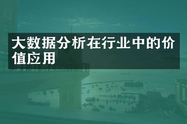 大数据分析在行业中的价值应用
