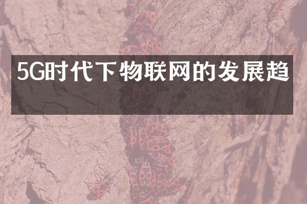 5G时代下物联网的发展趋势