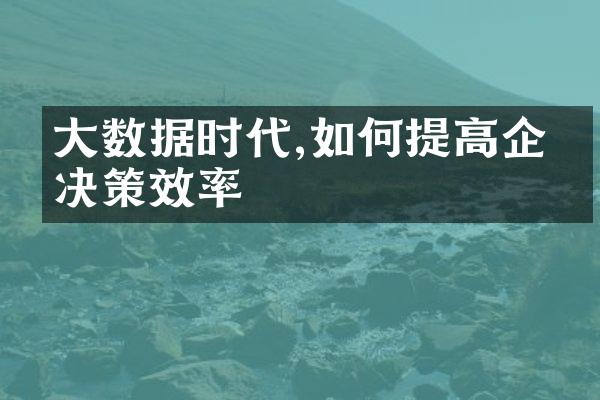 大数据时代,如何提高企业决策效率