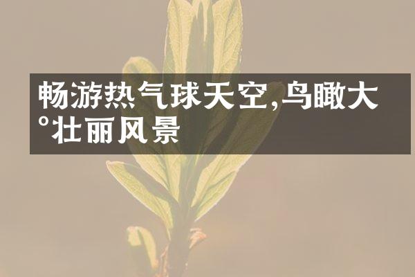 畅游热气球天空,鸟瞰大地壮丽风景