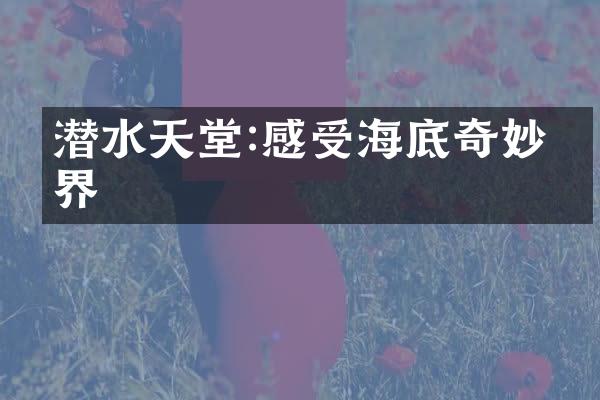 潜水天堂:感受海底奇妙世界