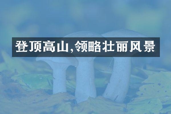 登顶高山,领略壮丽风景