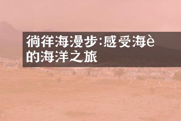 徜徉海濱漫步:感受海風輕撫的海洋之旅