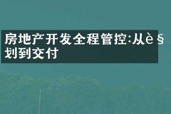 房地产开发全程管控:从规划到交付