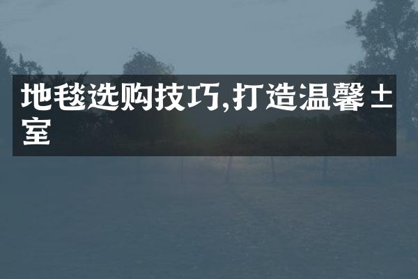 地毯选购技巧,打造温馨居室
