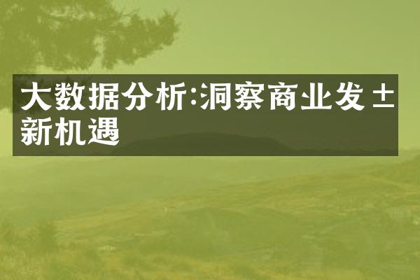大数据分析:洞察商业发展新机遇