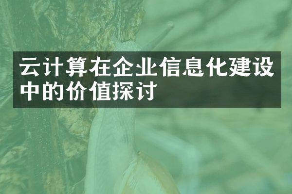 云计算在企业信息化建设中的价值探讨