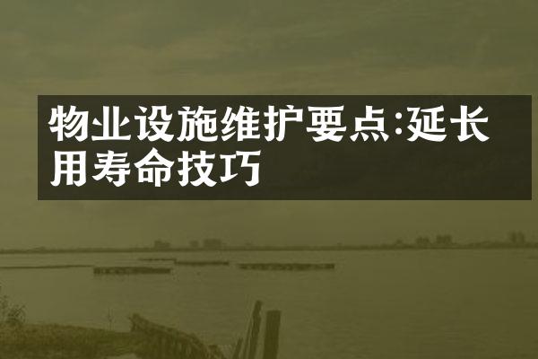 物业设施维护要点:延长使用寿命技巧