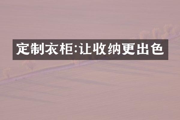 定制衣柜:让收纳更出色