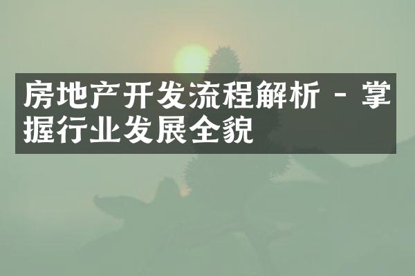 房地产开发流程解析 - 掌握行业发展全貌