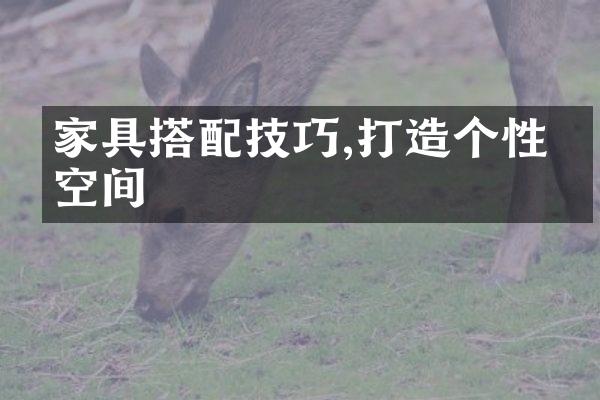 家具搭配技巧,打造个性化空间