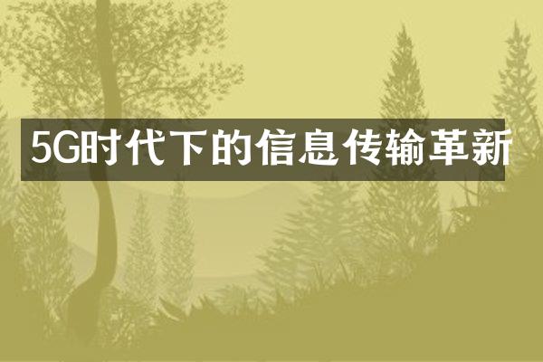 5G时代下的信息传输革新