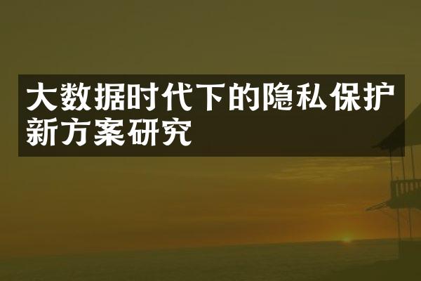 大数据时代下的隐私保护新方案研究