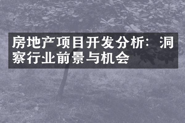 房地产项目开发分析：洞察行业前景与机会
