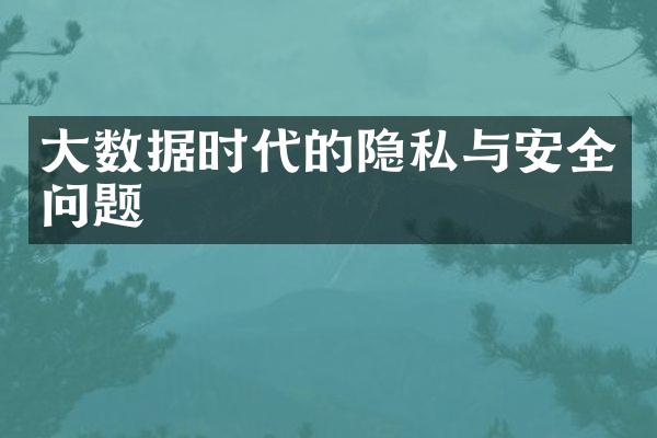大数据时代的隐私与安全问题