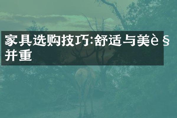 家具选购技巧:舒适与美观并重