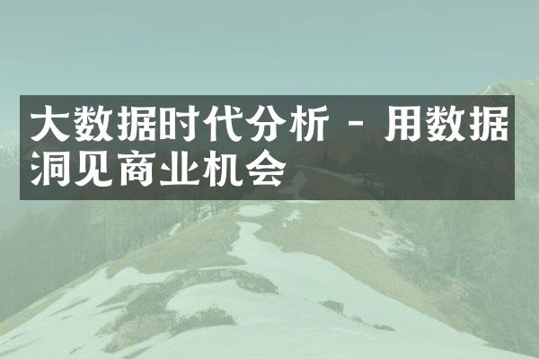 大数据时代分析 - 用数据洞见商业机会