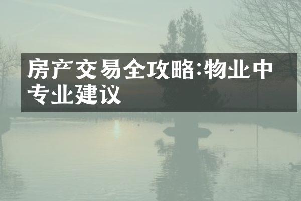 房产交易全攻略:物业中介专业建议