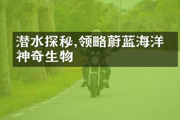 潜水探秘,领略蔚蓝海洋的神奇生物