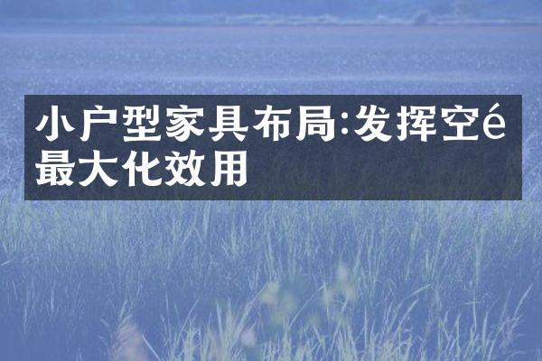 小户型家具布局:发挥空间最大化效用