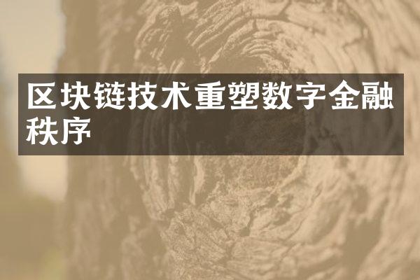 区块链技术重塑数字金融秩序