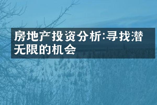 房地产投资分析:寻找潜力无限的机会