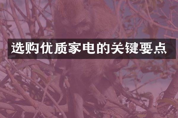 选购优质家电的关键要点