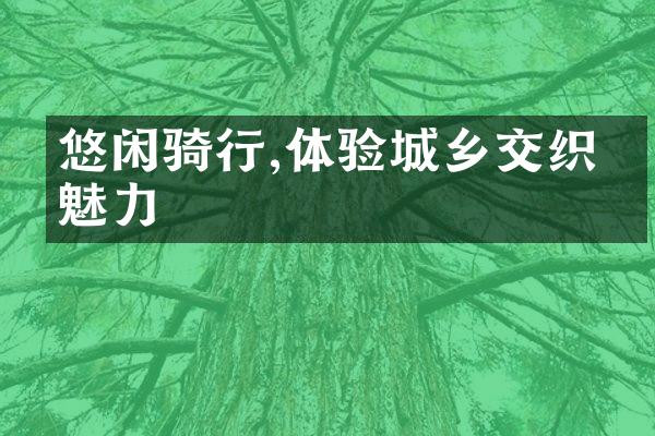 悠闲骑行,体验城乡交织的魅力