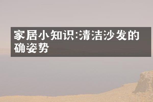 家居小知识:清洁沙发的正确姿势