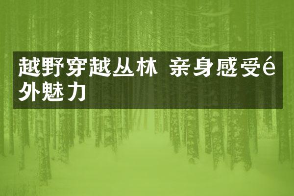 越野穿越丛林 亲身感受野外魅力