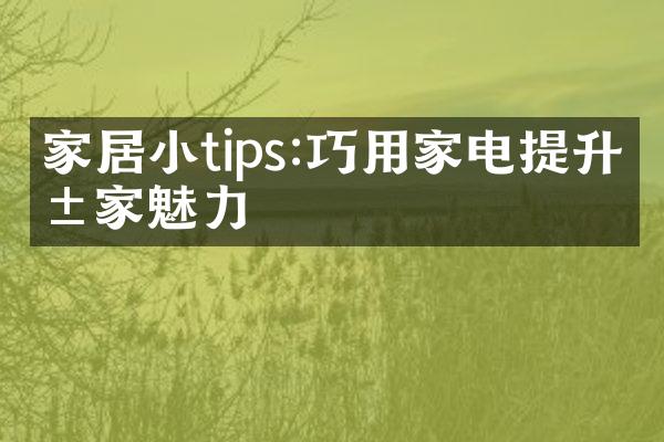 家居小tips:巧用家电提升居家魅力