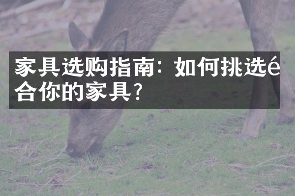家具选购指南: 如何挑选适合你的家具?