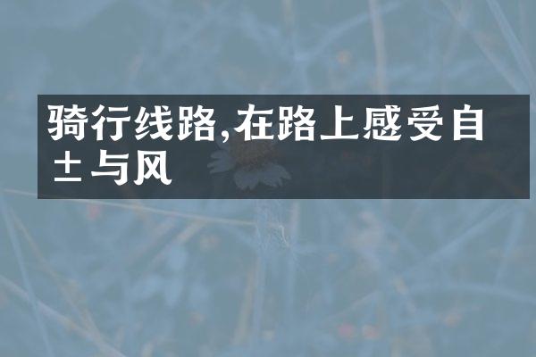骑行线路,在路上感受自由与风