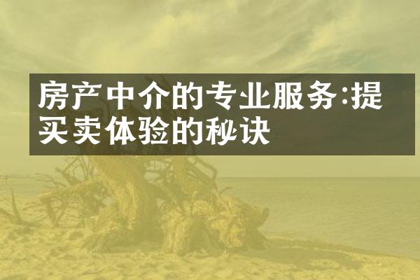 房产中介的专业服务:提升买卖体验的秘诀